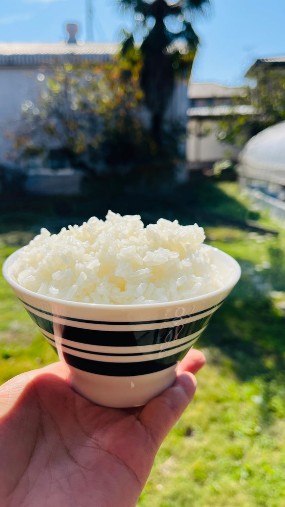 【待望の解禁】熱を奪わず、時をかける。無農薬・無肥料栽培「自然乾燥れんげ米」が今年もあなたの食卓へ