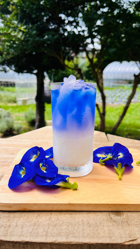 バタフライピーで夏ドリンク